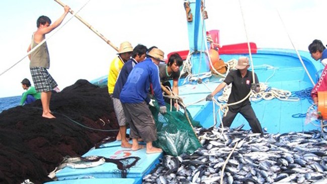 Các lực lượng chức năng tăng cường các biện pháp giải quyết tình trạng khai thác hải sản bất hợp pháp (13/5/2024)