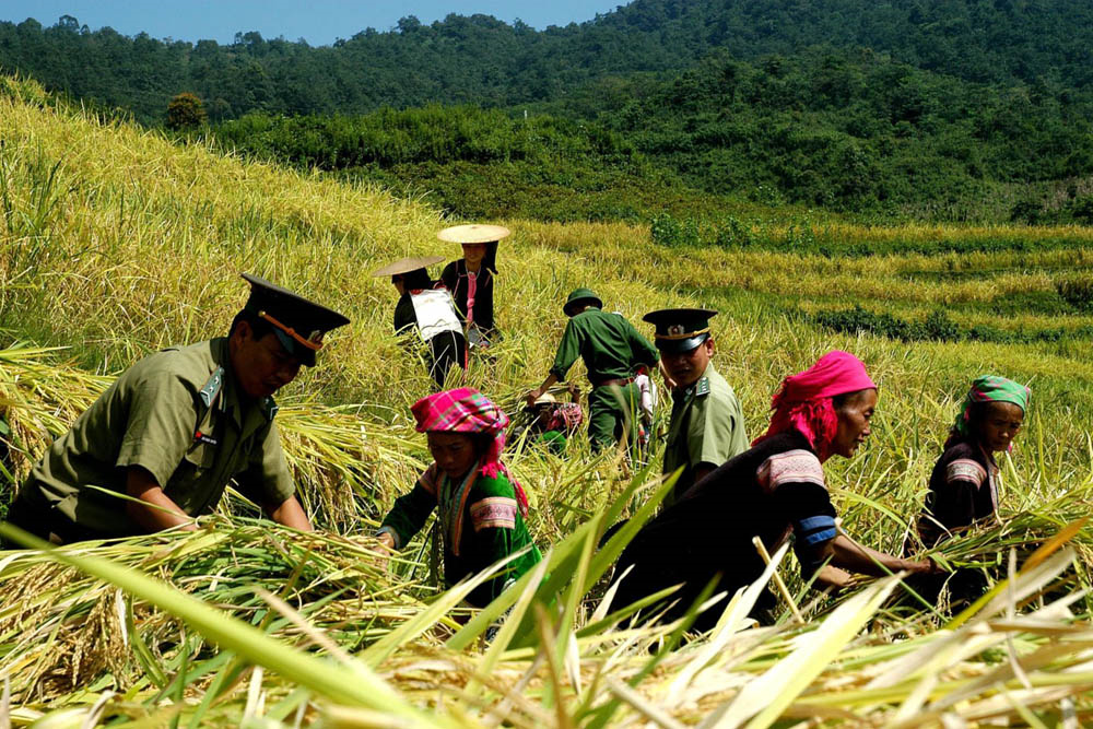 Thư Bác dẫn lối, soi đường cho Lai Châu phát triển (15/5/2024)