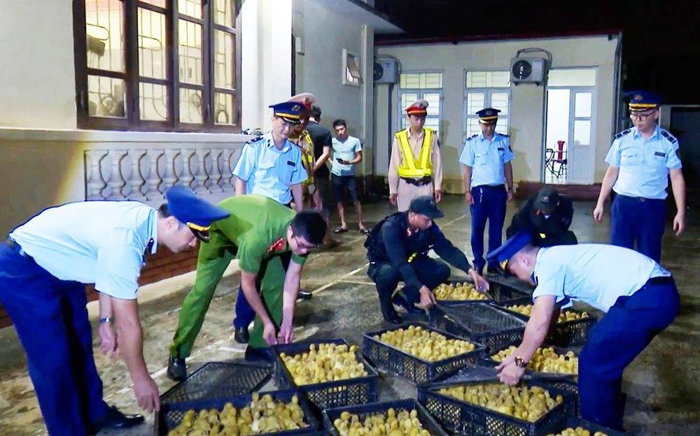 Giải pháp ngăn chăn nhập lậu động vật (11/06/2024)