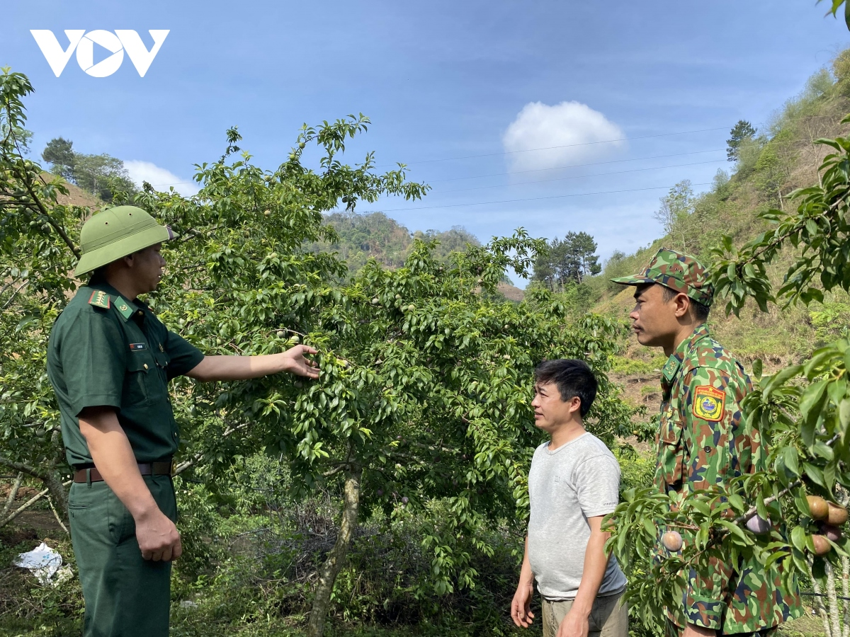 Màu áo quân hàm xanh trong bức tranh sắc màu biên giới Sơn La (15+16/06/2024)