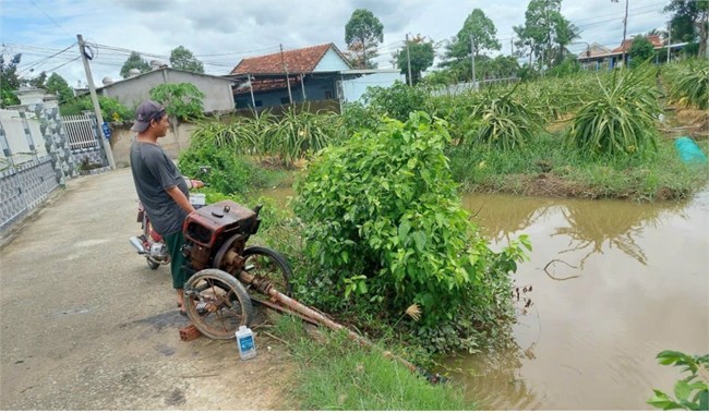 Nông dân Tiền Giang- Long An khẩn trương “cứu” vườn thanh long bị ngập nước (22/6/2024)