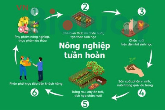 Tận dụng thời cơ về nông nghiệp tuần hoàn (20/06/2024)