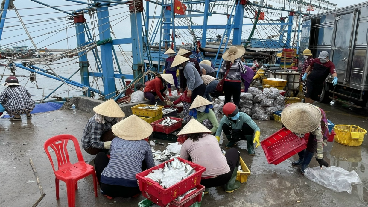 Chống khai thác IUU, vẫn còn tàu cá mất kết nối (14/6/2024)