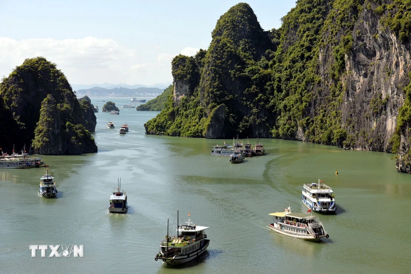  THỜI SỰ 12H TRƯA 17/6/2024: Sở Giao thông Vận tải Quảng Ninh vào cuộc xác minh làm rõ việc tàu du lịch “bỏ rơi” khách trên vịnh Hạ Long