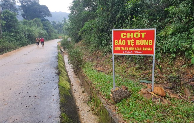 Hiệu quả từ giao khoán, bảo vệ rừng ở Bình Định (21/6/2024)