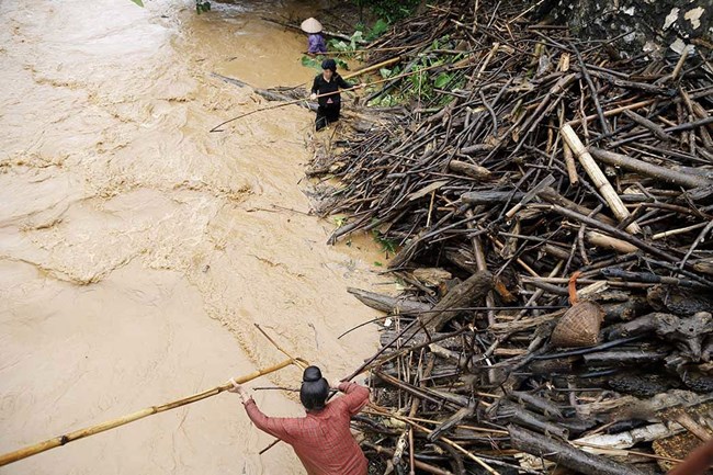 Phóng sự ảnh: Mặc nước lũ cuồn cuộn, người dân Điện Biên vẫn đua nhau đi vớt củi, bắt cá (11/6/2024)