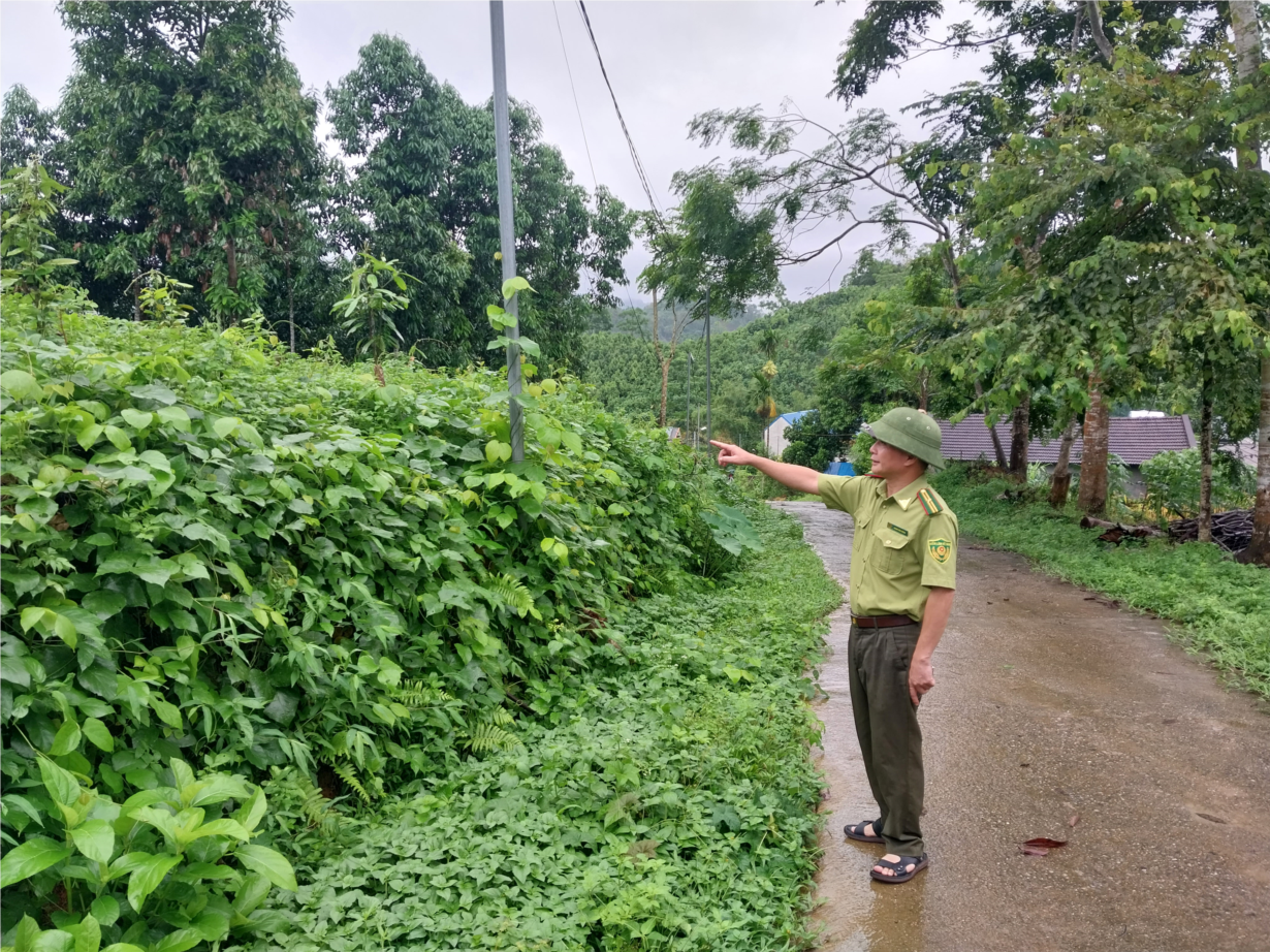 Thái Nguyên: Huyện Định Hóa phát triển cây quế bền vững( 09/07/2024)