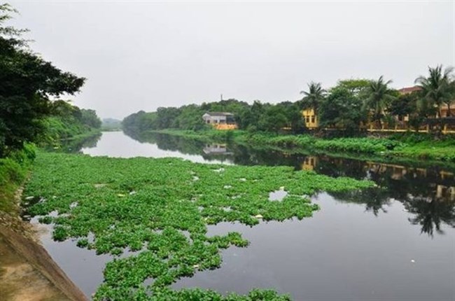 Luật Tài nguyên nước sẽ hồi sinh những “dòng sông chết” (24/07/2024)