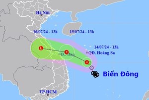 Ứng phó với áp thấp nhiệt đới và mưa lớn (16/07/2024)