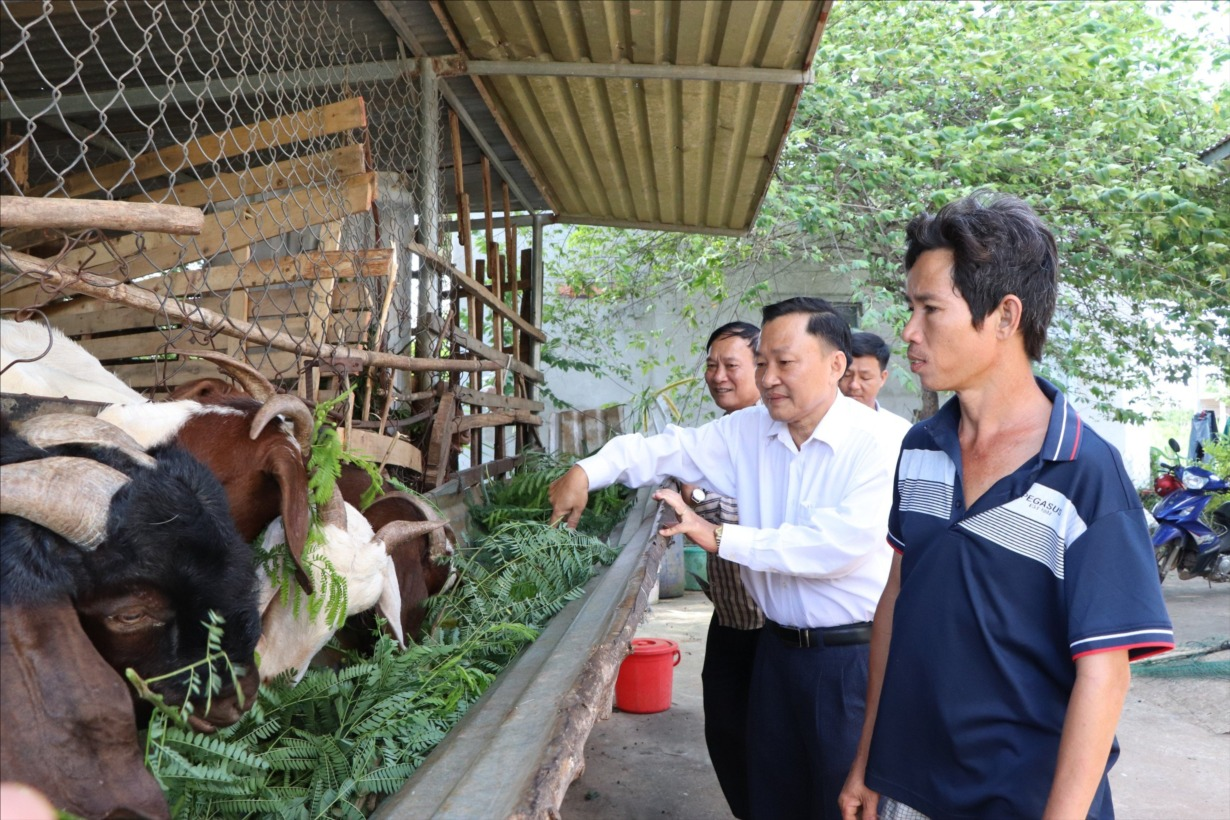 Cùng cảm nhận sự hài lòng và hạnh phúc của người dân ở “thôn, ấp thông minh” huyện Châu Đức, tỉnh Bà Rịa – Vũng Tàu (29/7/2024)

