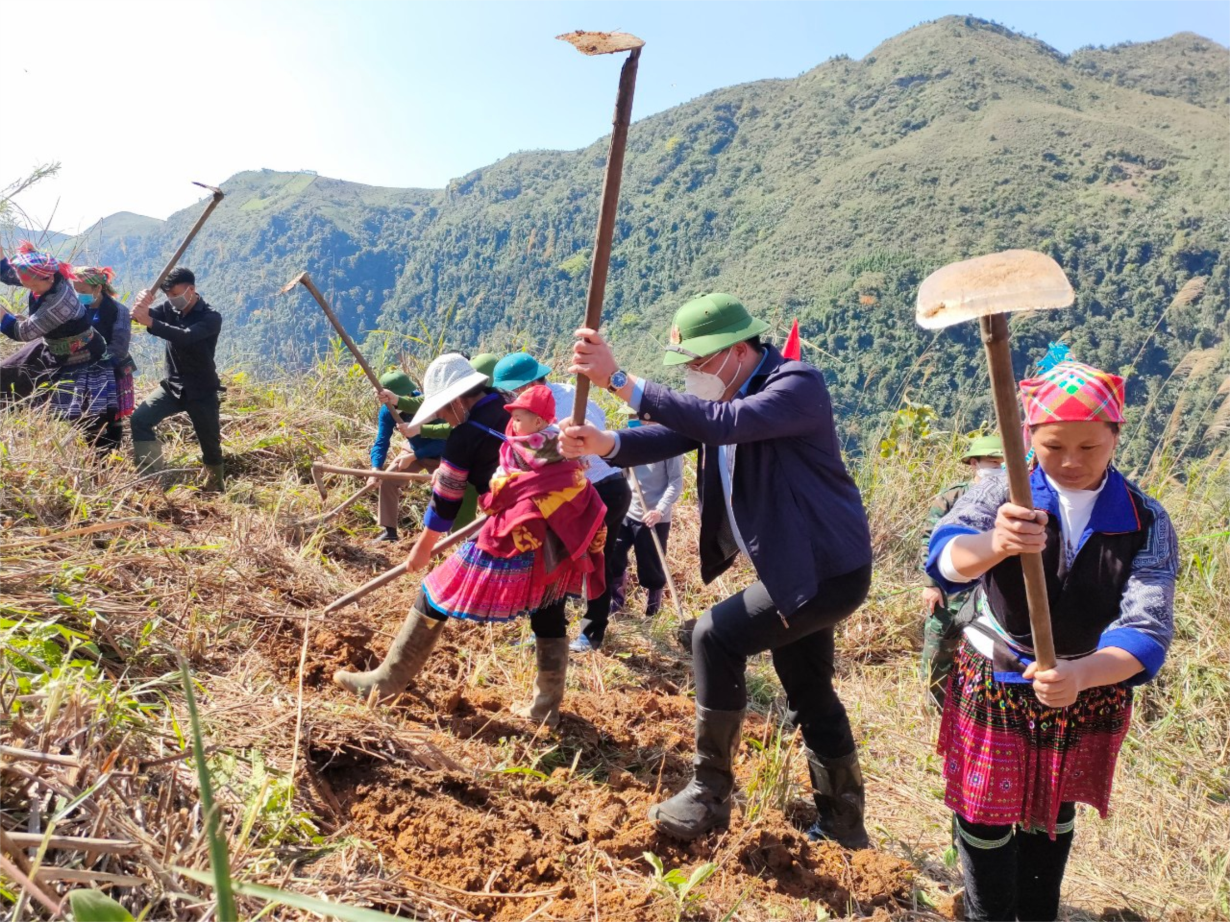 Gắn kết từ mô  hình 