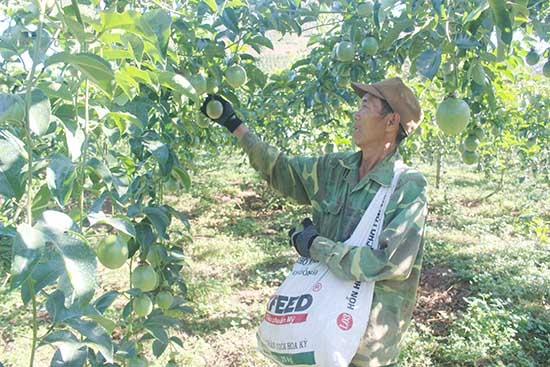 Thay đổi từ suy nghĩ đến hành động để phát triển HTX nông nghiệp (22/07/2024)