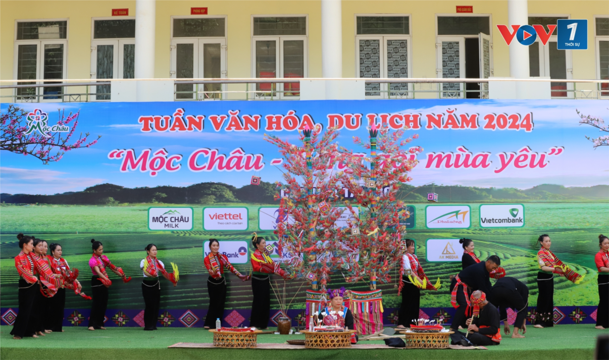 Cao nguyên Mộc Châu tưng bừng đón tết Độc lập (31/8/2024)