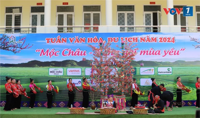 Cao nguyên Mộc Châu tưng bừng đón tết Độc lập (31/8/2024)