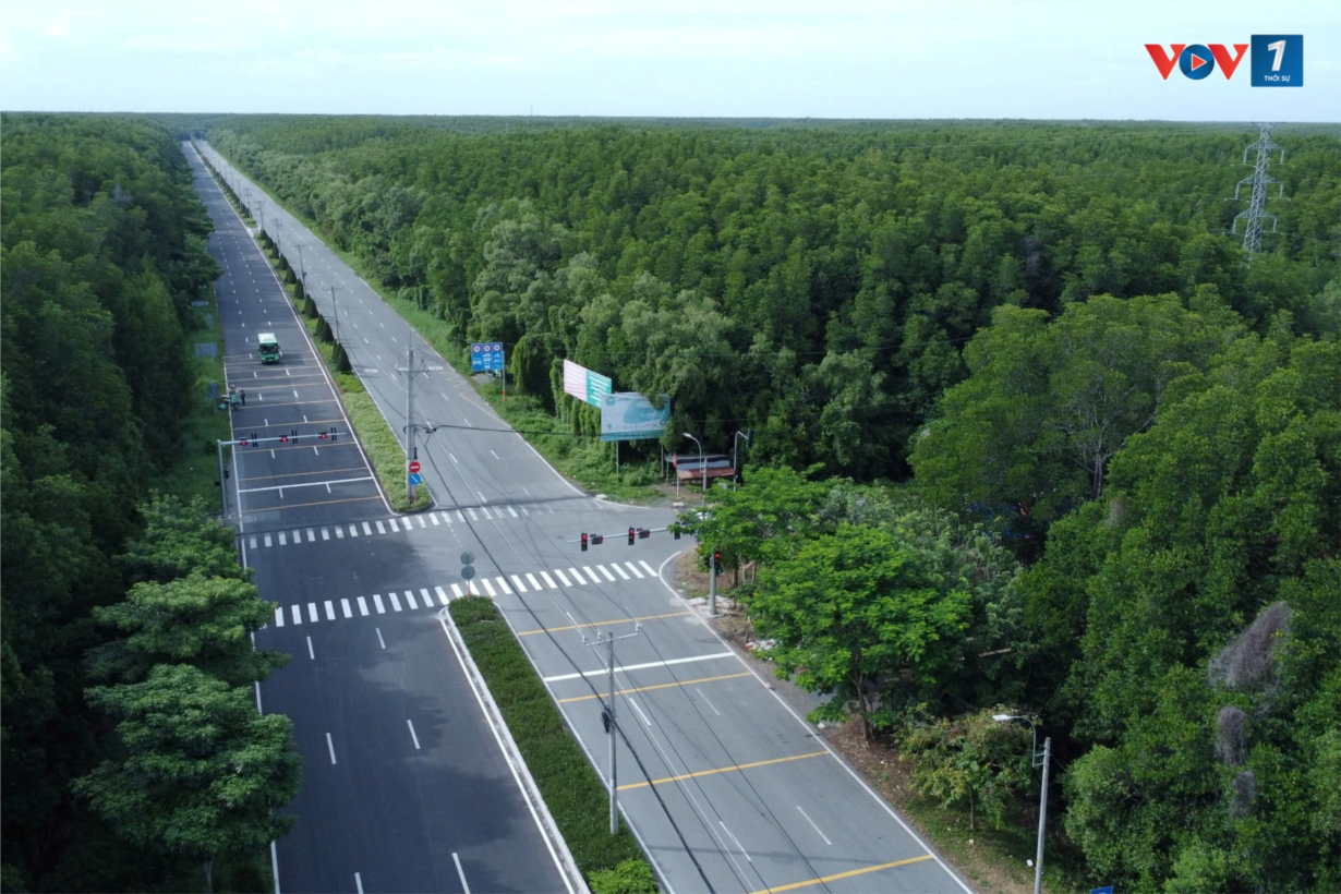 Tín chỉ carbon rừng Cần Giờ - làm thế nào, bán cho ai? (31/8/2024)