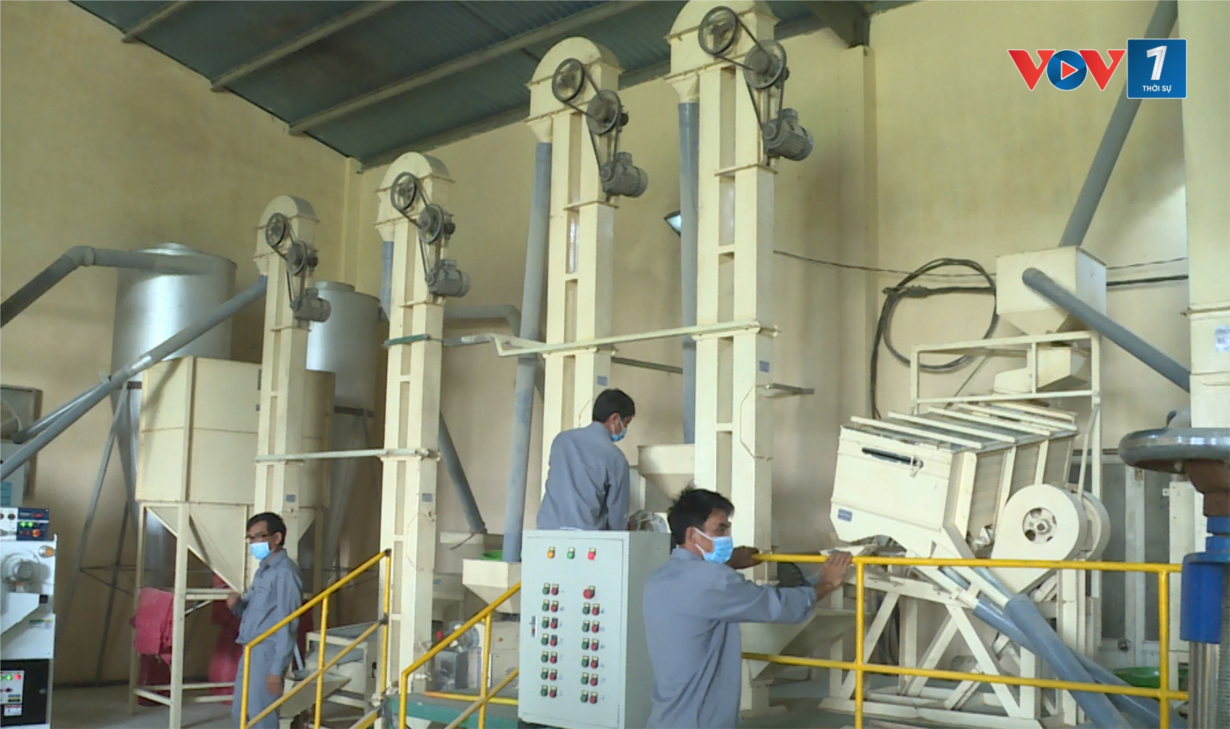 Ứng dụng khoa học kỹ thuật hiện đại để nâng tầm sản phẩm OCOP Bình Định (08/8/2024)