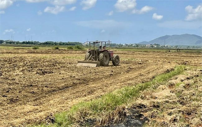 Cơ giới hóa nông nghiệp và ứng dụng công nghệ sau thu hoạch để nâng chất lượng sản phẩm (12/8/2024)