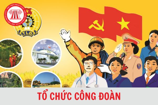 THỜI SỰ 21H30 ĐÊM 12/8/2024: Ủy ban Thường vụ Quốc hội cho ý kiến về việc giải trình, tiếp thu, chỉnh lý dự thảo Luật Công đoàn (sửa đổi).