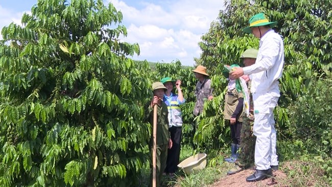 THỜI SỰ 21H30 ĐÊM 2/8/2024: Sau 2 năm triển khai, cả nước đã có trên 5.000 tổ khuyến nông cộng đồng tại 57 tỉnh, thành phố.