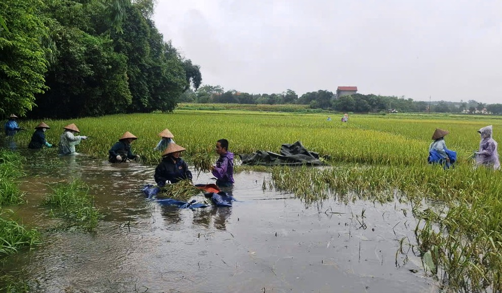 Bài học kinh nghiệm ứng phó với bão lũ lịch sử (21+22/09/2024)