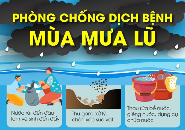 Phòng, chống dịch bệnh mùa mưa, bão (20/09/2024) 