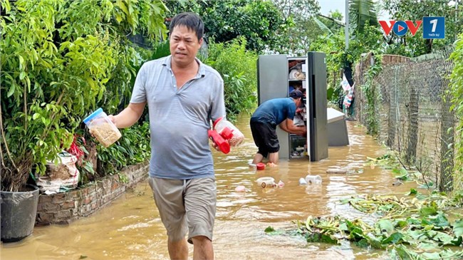 Nước sông Hồng lên cao, nhiều diện tích trồng hoa, đào Nhật Tân ngập lụt (10/9/2024)