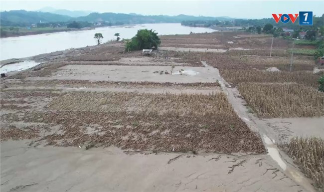 Hướng nào giúp làng miến Quy Mông, Yên Bái vực dậy sau lũ (23/9/2024)