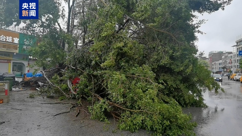 2 người chết, 92 người bị thương trong siêu bão Yagi ở Trung Quốc (07/9/2024)