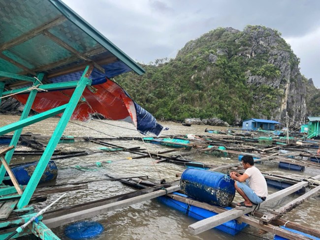 Nhanh chóng khôi phục sản xuất nuôi trồng thủy sản sau bão