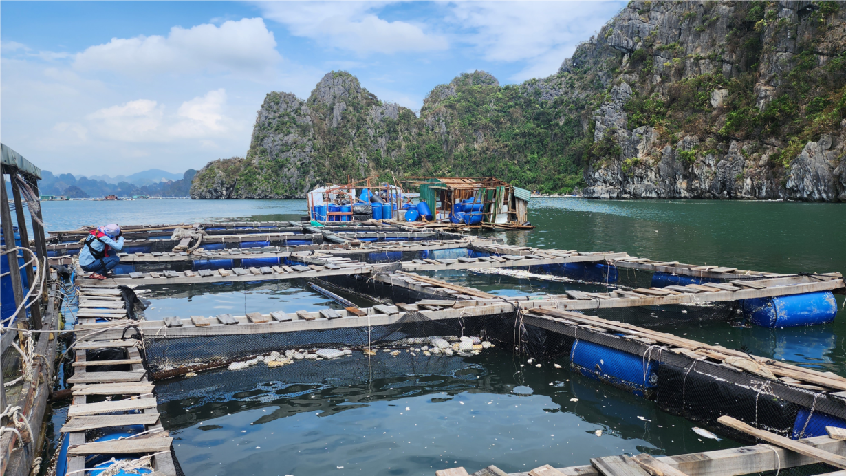 Doanh nghiệp bảo hiểm gấp rút  chi trả bồi thường hàng tỷ đồng cho khách hàng sau bão lũ số 3 (18/09/2024)