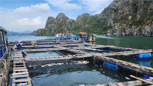 Doanh nghiệp bảo hiểm gấp rút  chi trả bồi thường hàng tỷ đồng cho khách hàng sau bão lũ số 3 (18/09/2024)