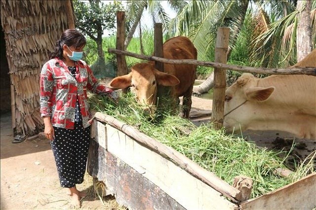 Sóc Trăng: Hội phụ nữ lan tỏa tinh thần khởi nghiệp, thực hiện công tác giảm nghèo bền vững (19/09/2024)