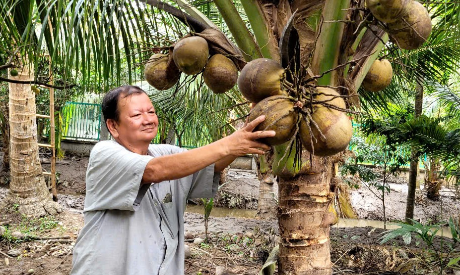 Người nông dân tỷ phú ở xứ dừa với mô hình làm vườn “sạch” (20/1/2025)