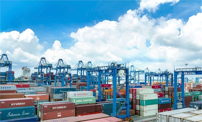 Tàu container ghé nhiều, cảng Bà Rịa – Vũng Tàu khởi sắc (15/1/2024)