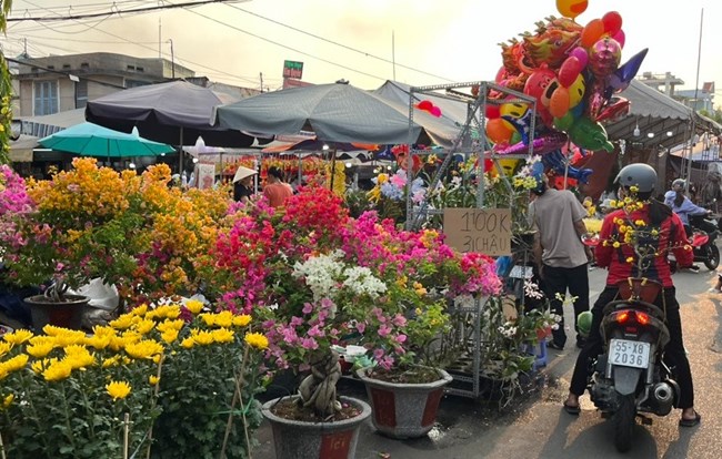 Người dân TP Hồ Chí Minh xuống phố mua hoa, cây cảnh đón Tết (10/1/2025)