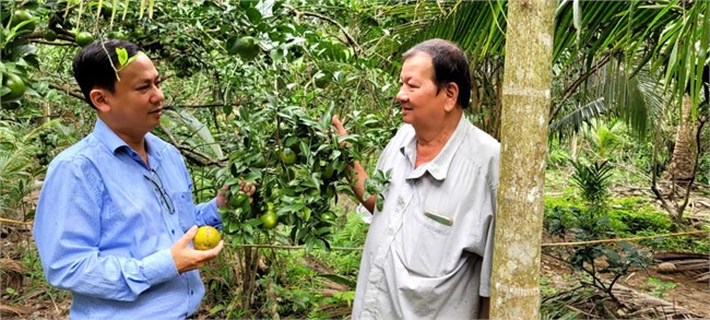  Chuyện về người nông dân tỷ phú ở xứ dừa với mô hình làm vườn “sạch” (05/1/2025)