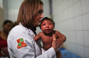 Virus Zika và nguy cơ đại dịch toàn cầu. (02/02/2016)