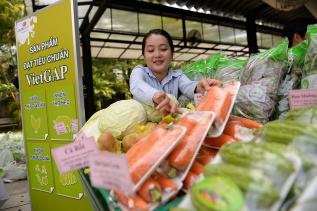 Vệ sinh nông sản thực phẩm dịp Tết: Để người dân yên tâm hơn với những sản phẩm Vietgap.(24/01/2016)