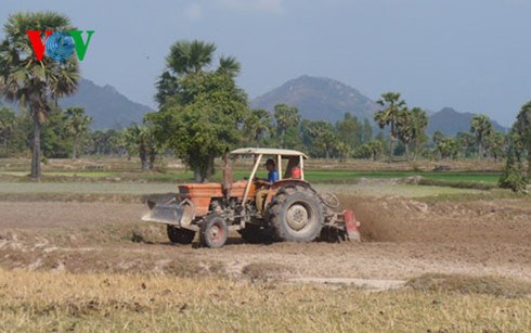 Nhiều địa phương tại khu vực Đồng bằng sông Cửu Long phải đứng trước nguy cơ cháy rừng cấp cực kỳ nguy hiểm. (Thời sự trưa 24/02/2016)