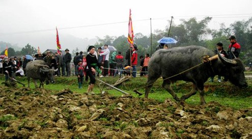 Thời sự đêm ngày 21/02/2015: Nhiều địa phương tổ chức Lễ hội Xuống đồng, cầu cho một năm mưa thuận gió hòa, mùa màng bội thu