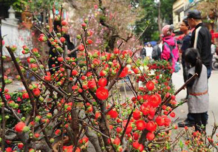 Ca khúc mang âm hưởng dân gian