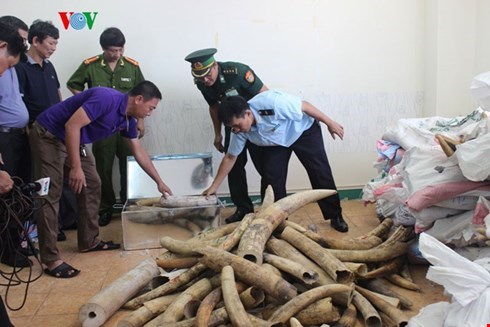 Phòng chống tội phạm buôn lậu như thế nào cho hiệu quả? (29/12/2015)